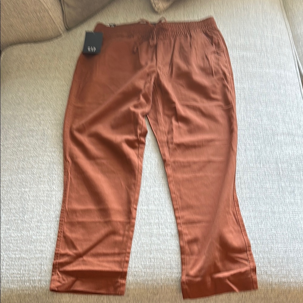 GAP Burnt Orange Cropped Pants Relaxed Fit